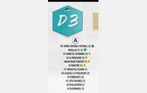 SENIORS A:  GROUPE CHAMPIONNAT D3