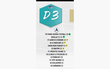 SENIORS A:  GROUPE CHAMPIONNAT D3